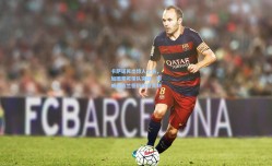 卡萨诺再出惊人之语，加图索可带队突围，挪威无哈兰德仍胜意大利