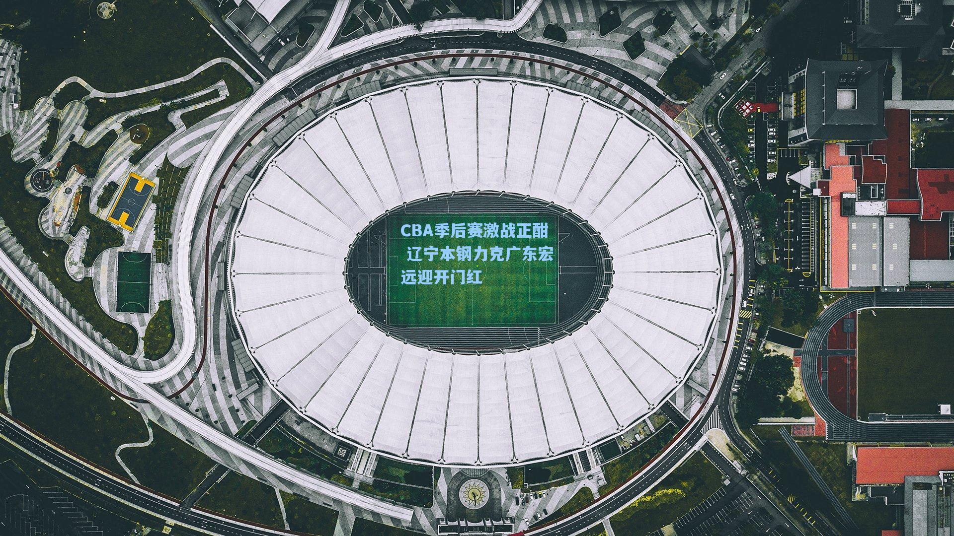 CBA季后赛激战正酣 辽宁本钢力克广东宏远迎开门红  第1张