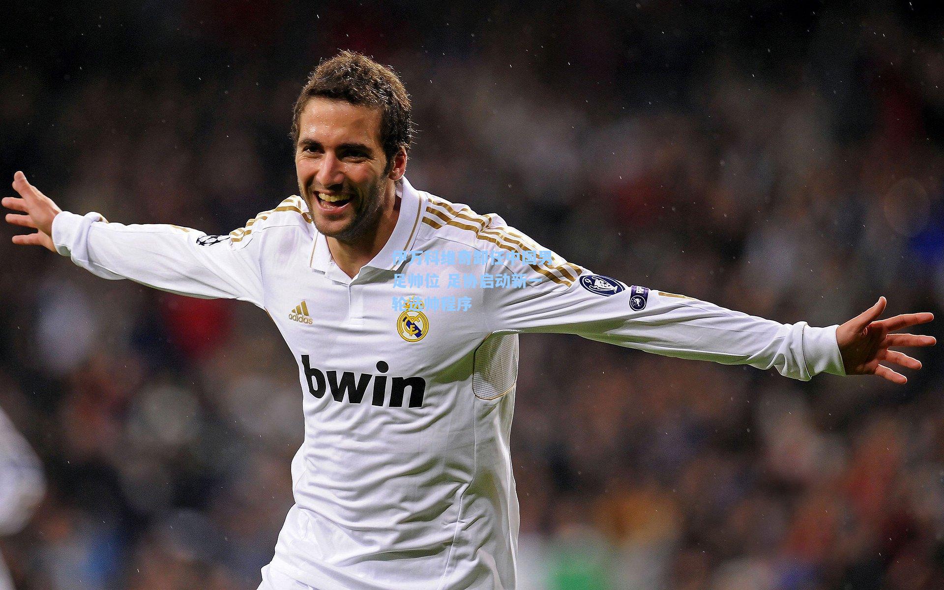 伊万科维奇卸任中国男足帅位 足协启动新一轮选帅程序  第2张