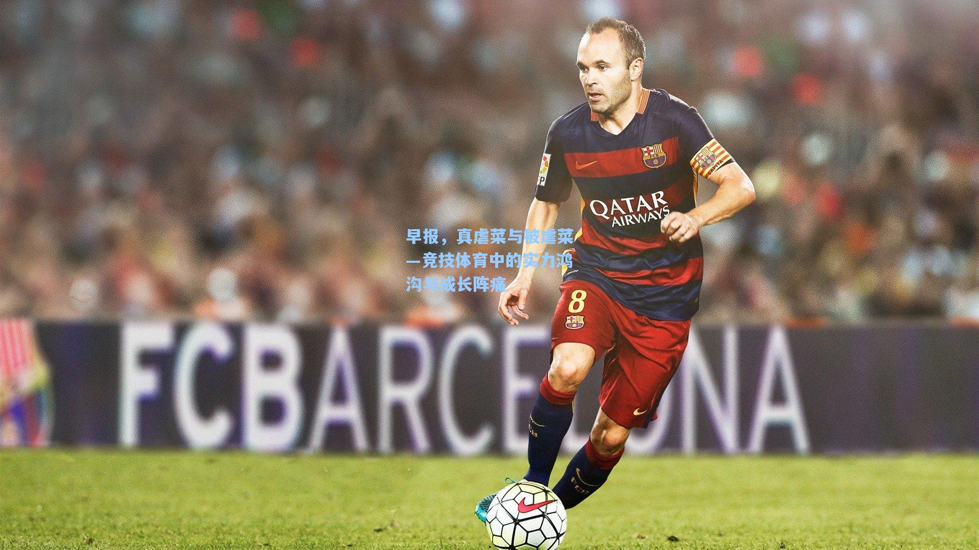 早报，真虐菜与被虐菜—竞技体育中的实力鸿沟与成长阵痛  第2张